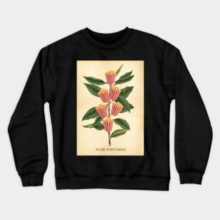 Popcorn Botanical Print Crewneck Sweatshirt